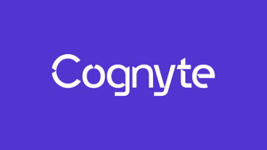 לוגו Cognyte